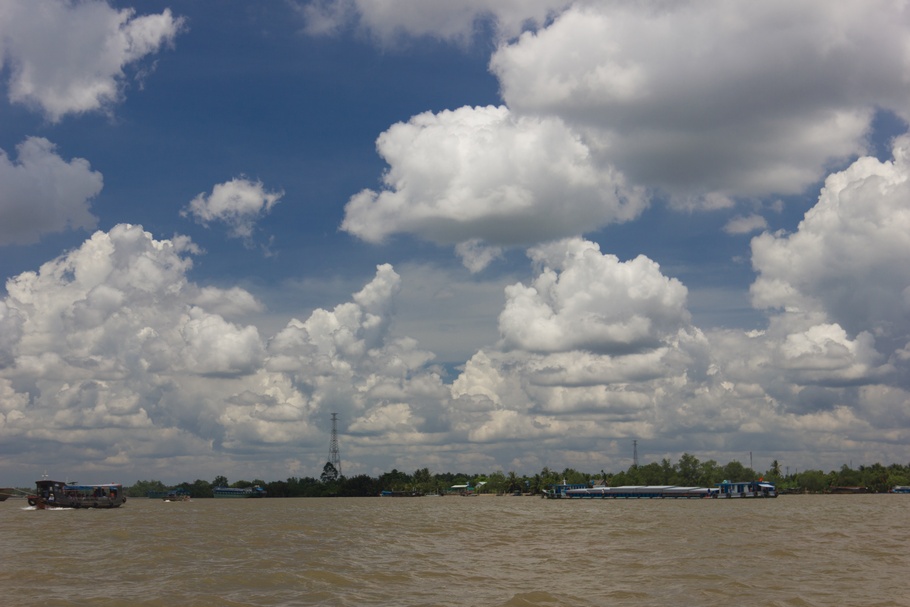 Дельта реки Меконг