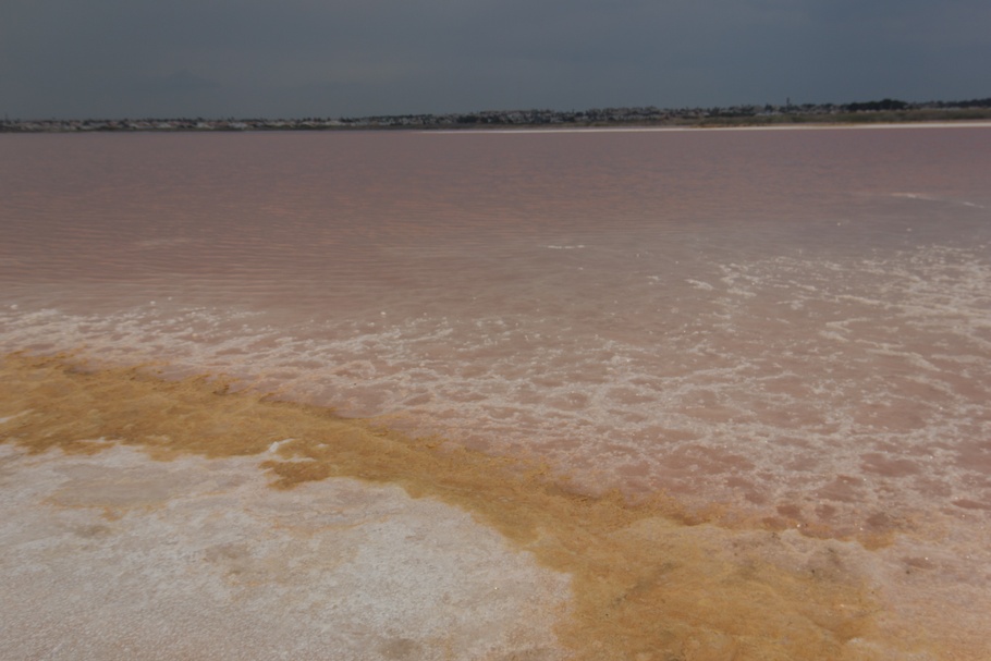 Розовое озеро Торревьехи