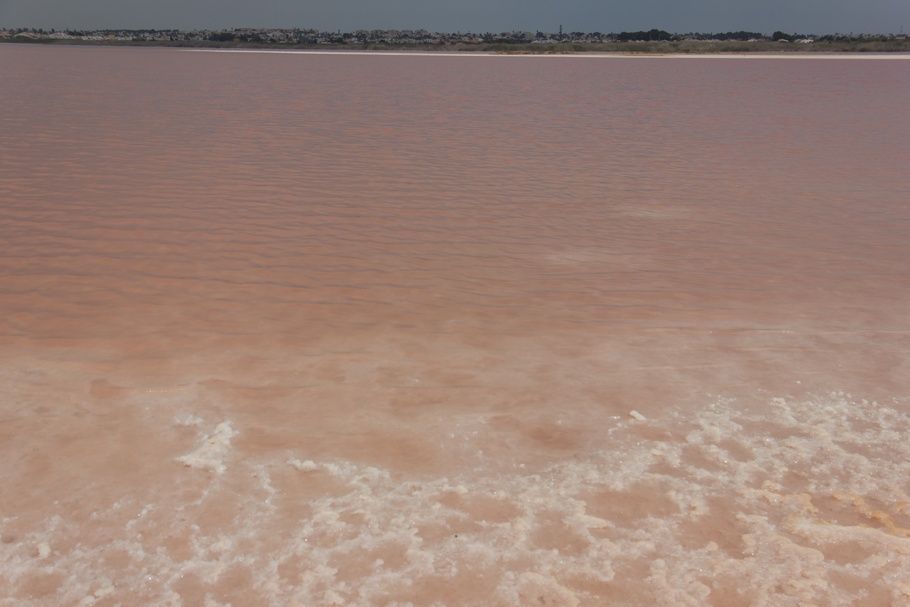 Розовое озеро Торревьехи